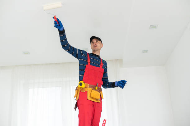 Professional Drywall and Painting Service in Jasper, TX